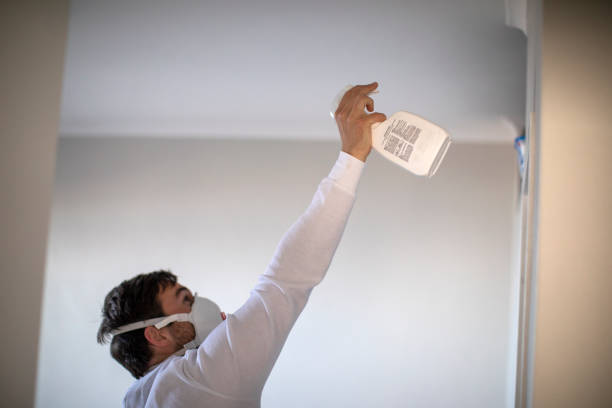 Best Mold Testing  in St Charles, MO