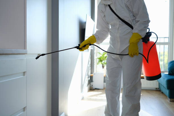 Attic Mold Removal in St Charles, MO