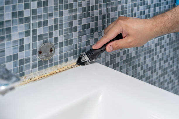Best Black Mold Removal  in St Charles, MO